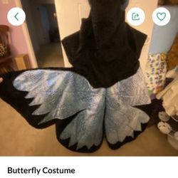 Butterfly Costume