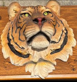 Beautiful hand painted Tiger head.