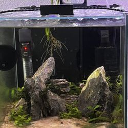 3 gallon fish tank all in one