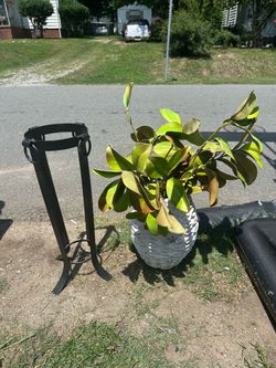 Big Vase and Stand