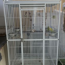 Bird Cage In White Power Painted 