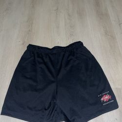 Air Jordan Shorts Size L 