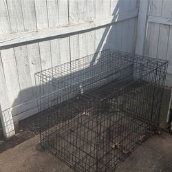 Dog 🐕 cage