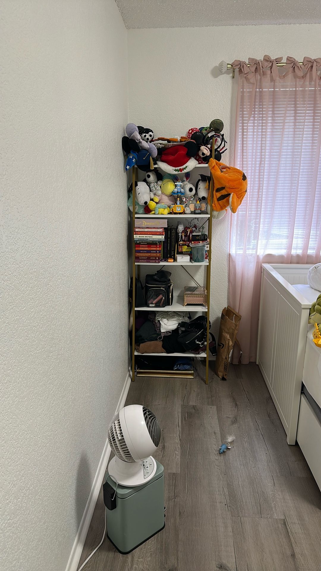 5 Tier Ladder Shelve
