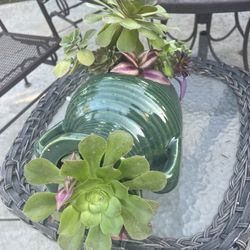 Cute Succulent Planter