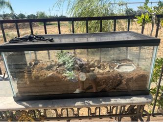 Large animal tank