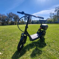 Electric Scooter 