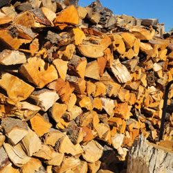 Avocado Firewood Good For BBQ 