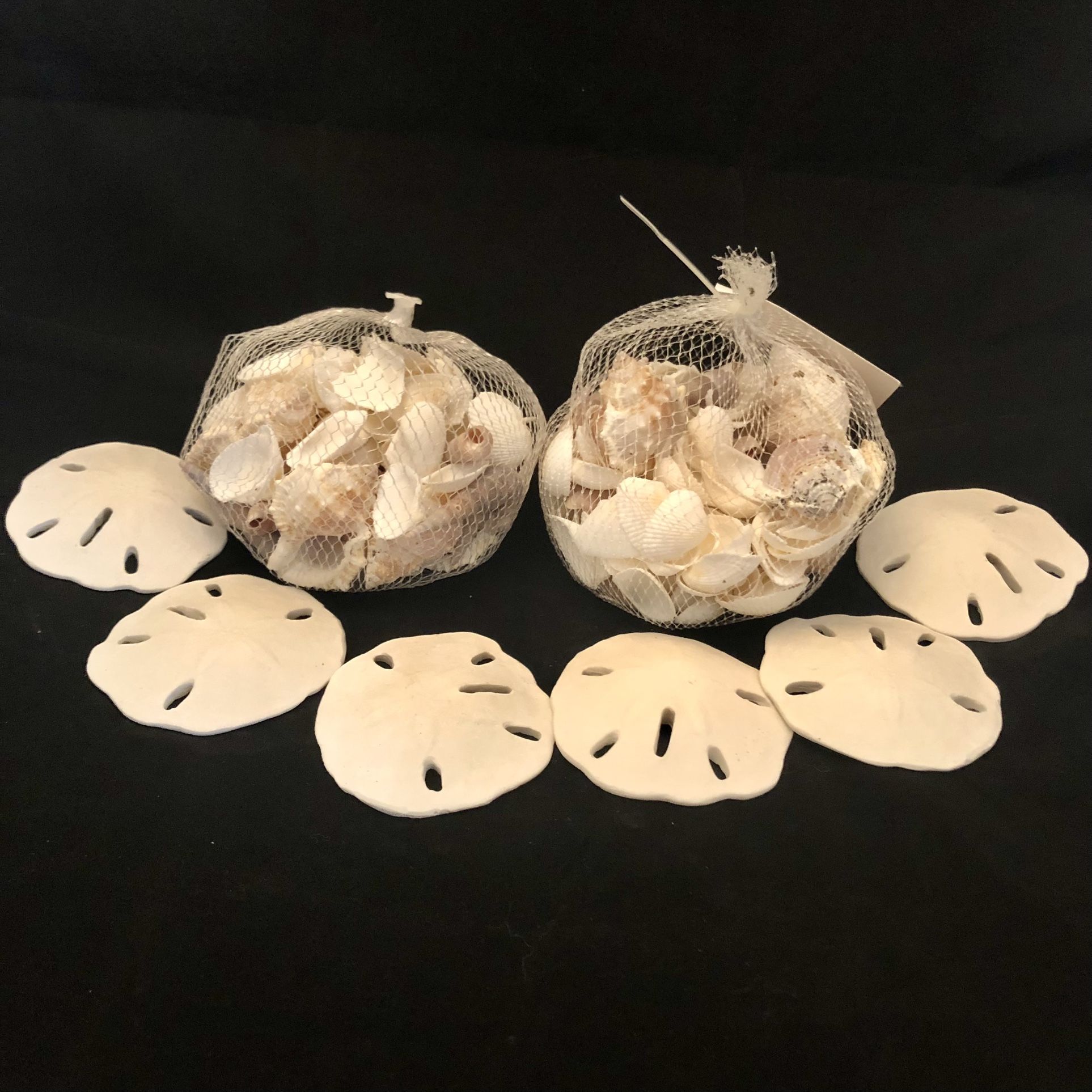 Decorative Shells Only (No Sand Dollars)