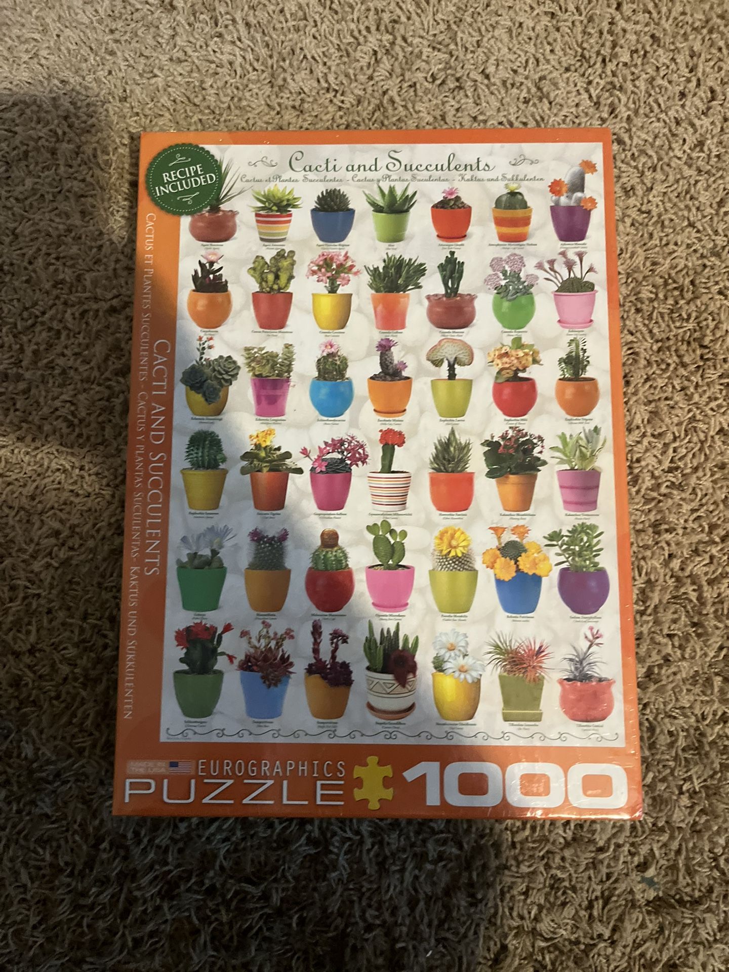 1000 piece cactus and succulent puzzle