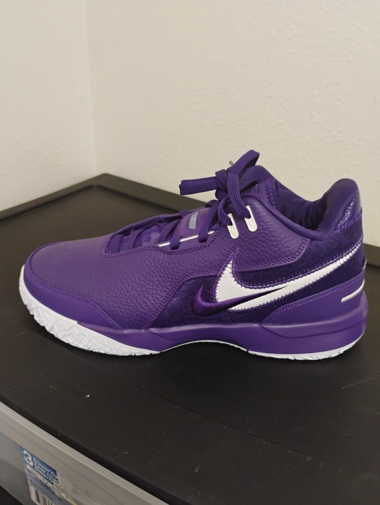 Nike LeBron NXXT Gen PROMO Team Basketball Purple