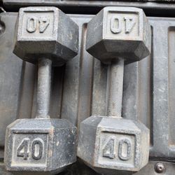 Weight Dumbbells 
