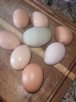 Fresh Eggs Thumbnail