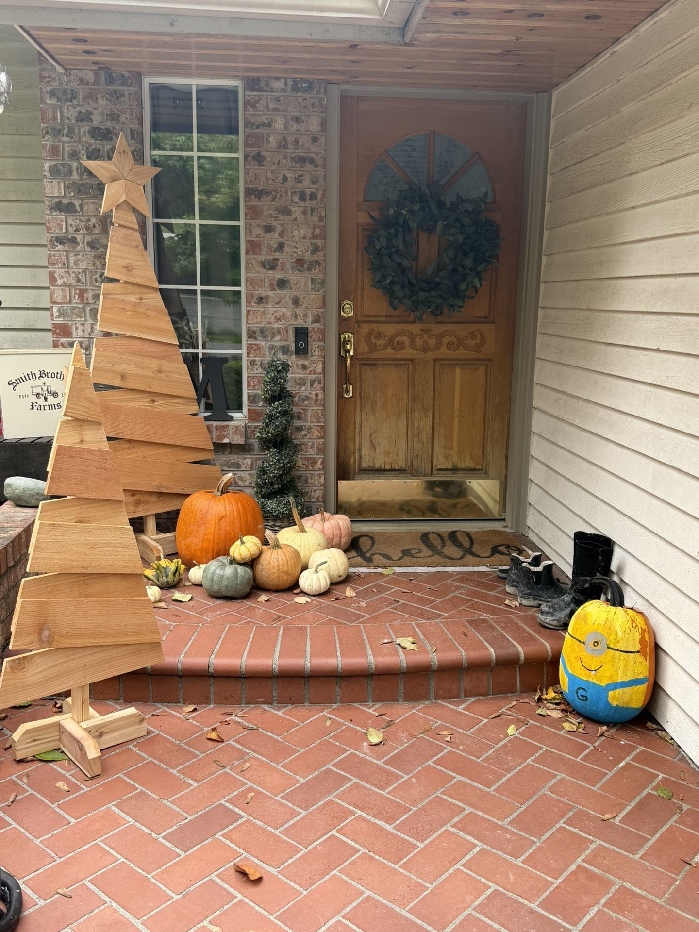 Decorative Cedar Trees