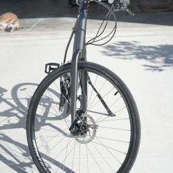 Trek Fx Disc 2 Hybrid Bike 
