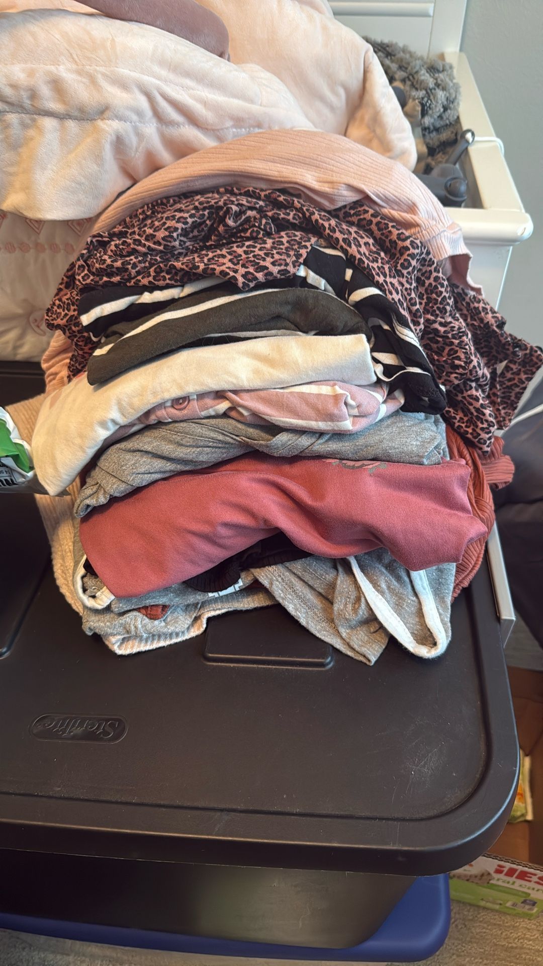 Maternity Clothes