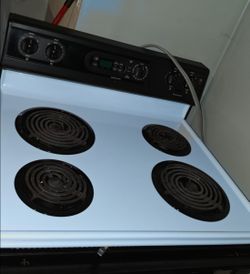 Clean Electric oven