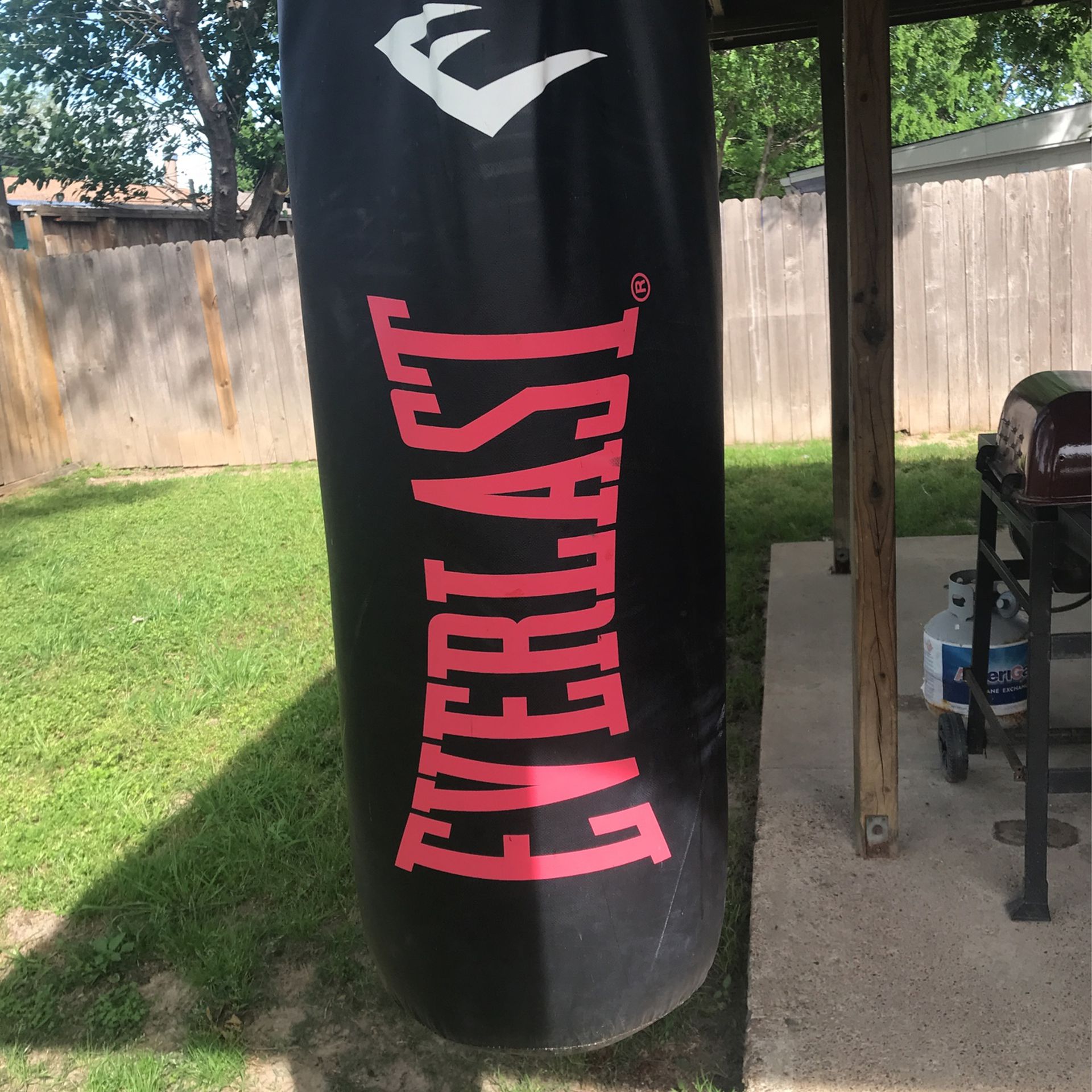 Punching bag Everlast Black And Red