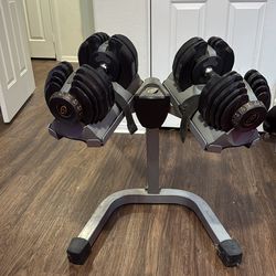 Bowflex Nautilus Series 1 Dumbbells with Stand