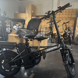 Electric bicycle