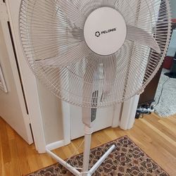 Pelonis Floor Fan