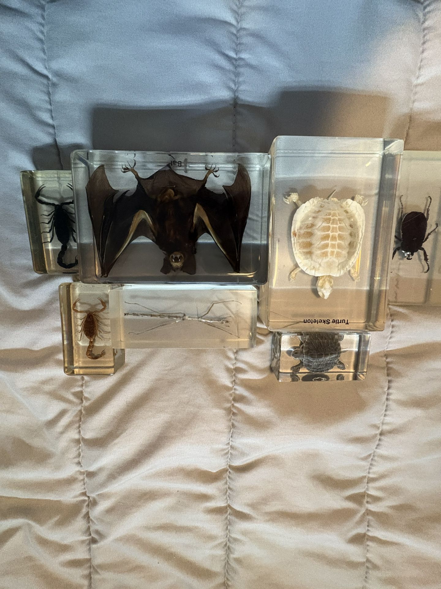 glass bug and animal collection