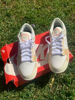 Nike dunks brand new mens size 10.5
