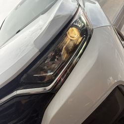 Driver Side Headlight Honda CRV