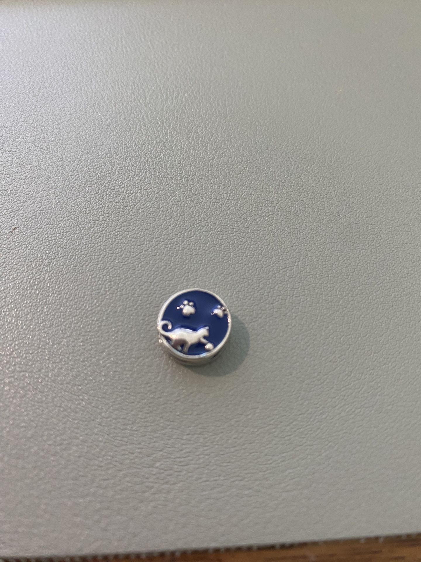 Pandora Reflexions Bracelet Charm