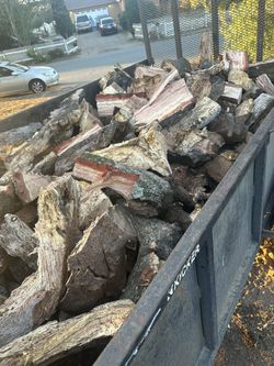 Red Oak, Pine, And Eucalyptus Wood