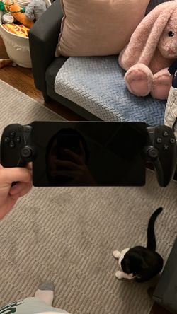 brand new ps portal with the  charger