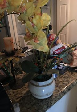 House decor