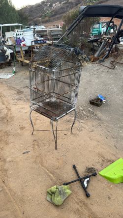 Bird Cage