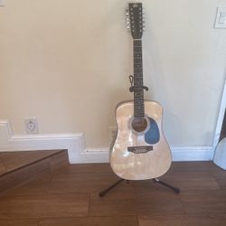 Rogue 12 String Guitar