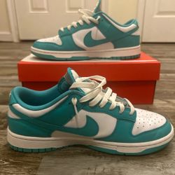 9.5 Nike Dunk 