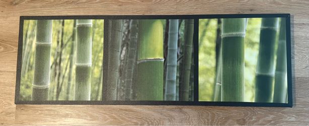 Bamboo Picture