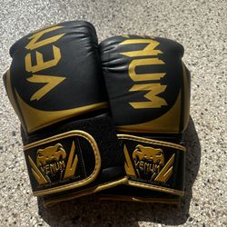 MMA Gloves And Shin Pads