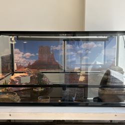 Reptile Enclosure/Tank