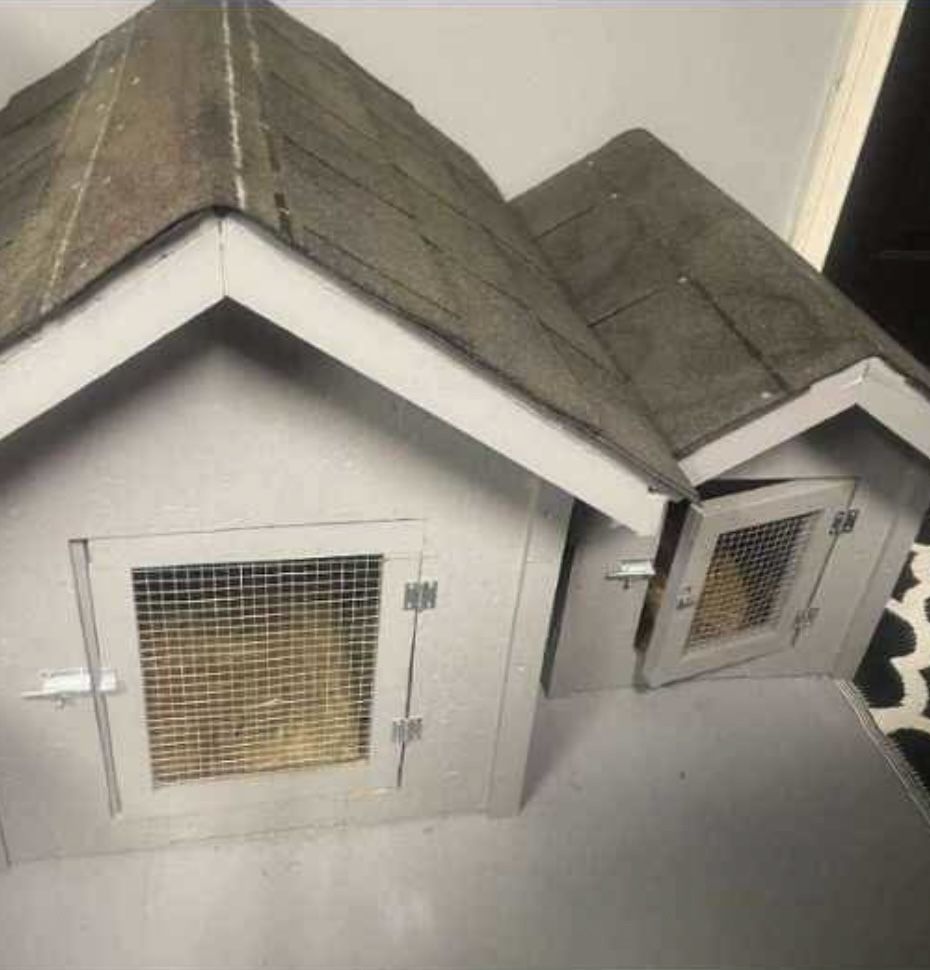 Dog Houses