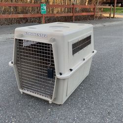 Medium Dog Kennel