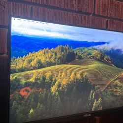 Asus Gaming monitor 180hrz