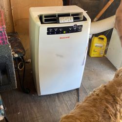 Honeywell Portable  A/C Dehumidifier 