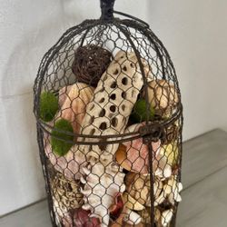 Cage With Shells