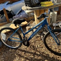 Two Bikes 100 