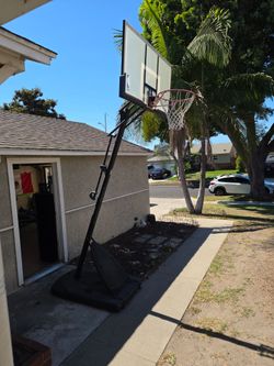 Basketball court