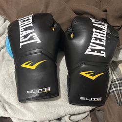EVERLAST 12OZ boxing Training Gloves