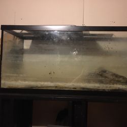 Aquarium 110 Gallon