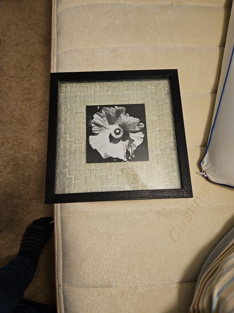 Picture Of Flower