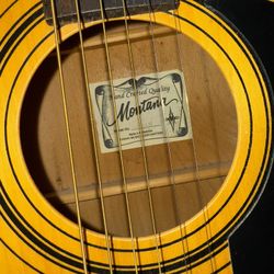 Montana M-1AN Acoustic Guitar + Hard Case