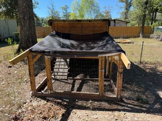 Chicken coop, rabbit hutch